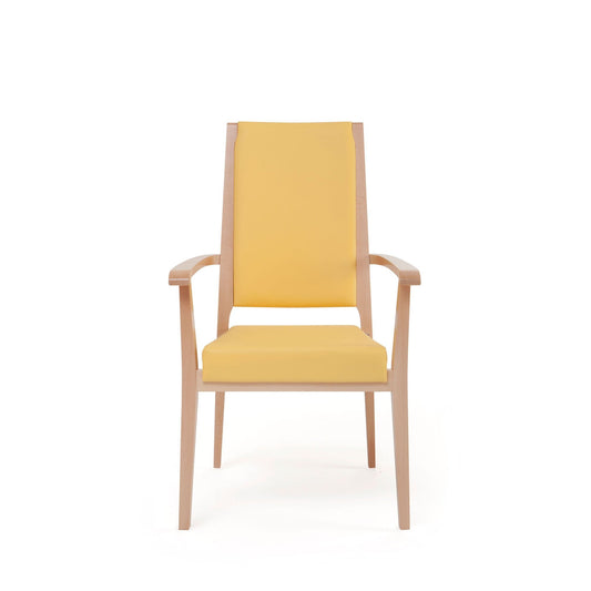 Aero 56-25/1 Armchair-Contract Furniture Store for hospitality, leisure & commercial projects