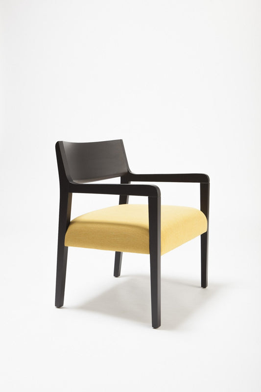 Amarcord Lounge Armchair