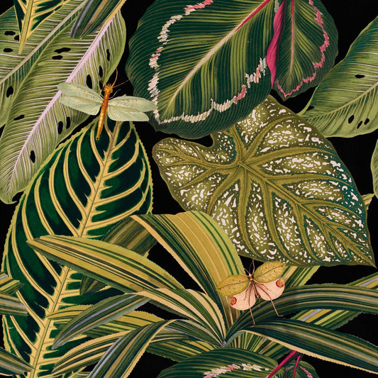 Amazonia Wallpaper