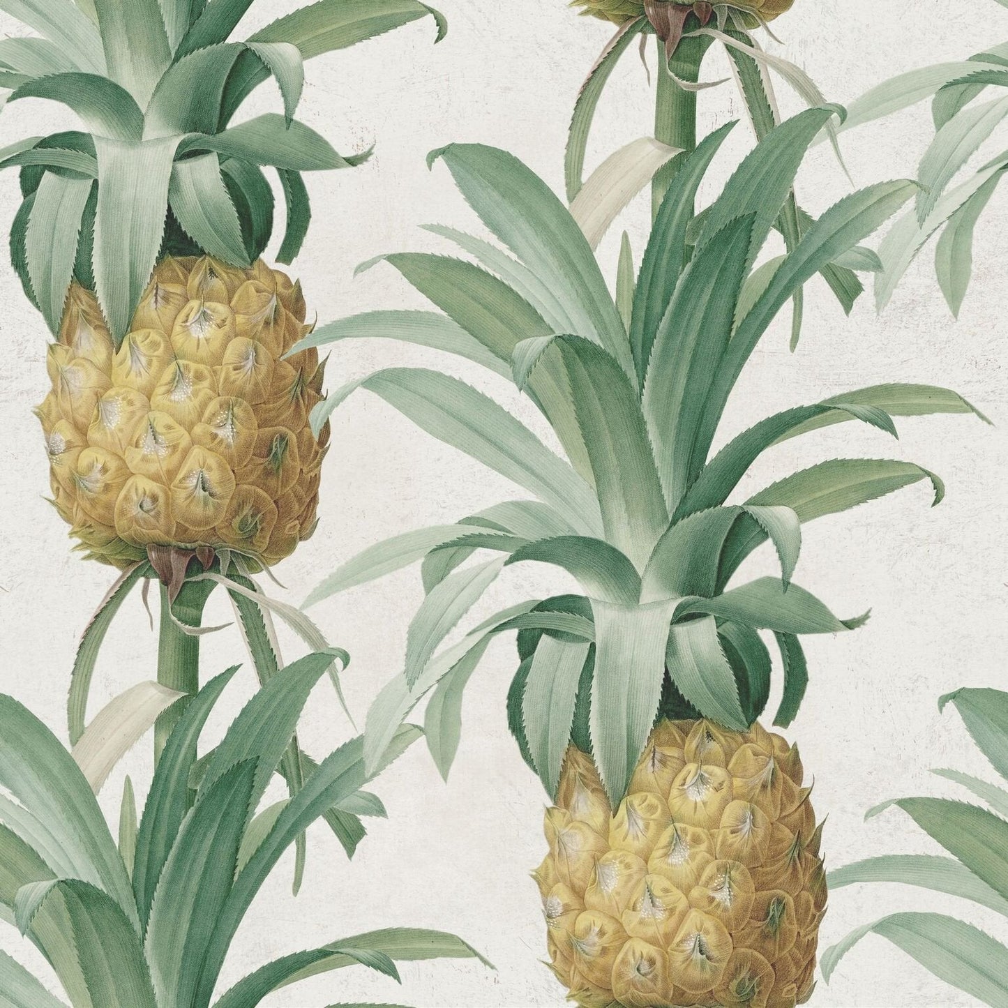 Ananas Wallpaper-Contract Furniture Store for hospitality, leisure & commercial projects