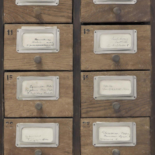 Apothecary Neutral Wallpaper