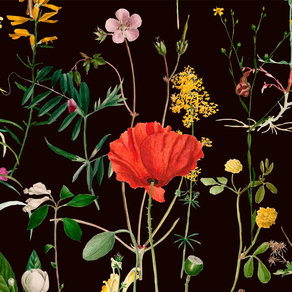 Aquafleur Anthracite Wallpaper