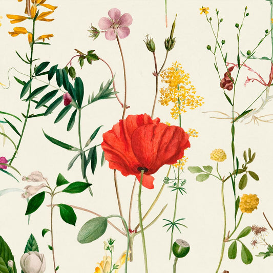 Aquafleur Wallpaper-Contract Furniture Store for hospitality, leisure & commercial projects