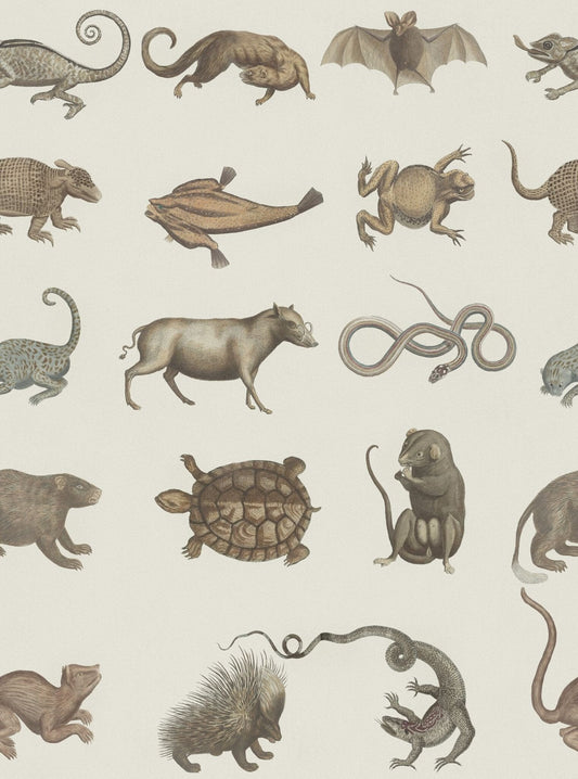 Ark Of Seba Wallpaper-Contract Furniture Store for hospitality, leisure & commercial projects