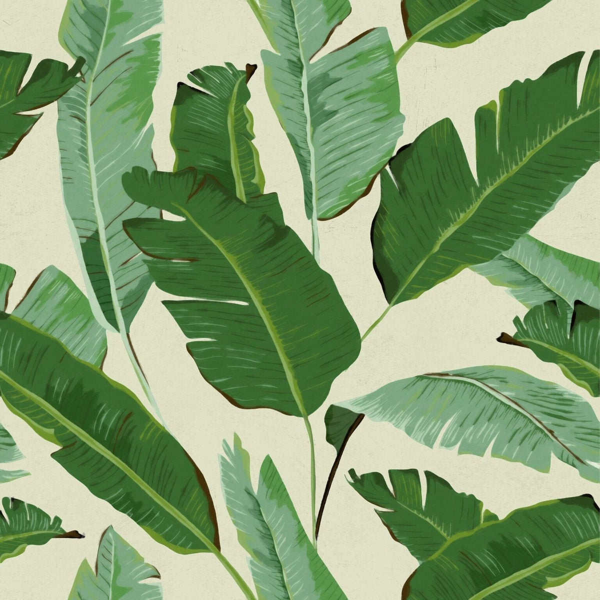 Banana Leaves Wallpaper-Mind The Gap-Contract Furniture Store