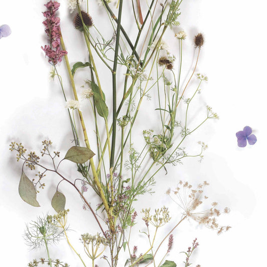 Botanical Nostalgia Wallpaper
