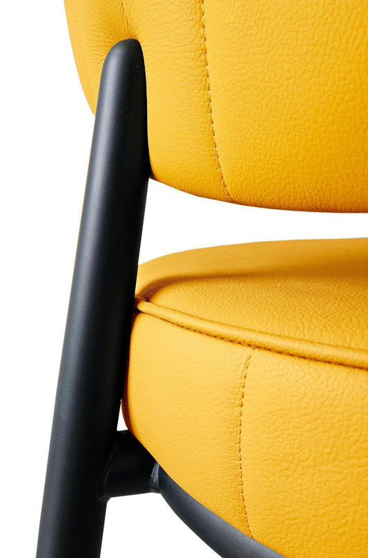 Daisy Side Chair-Contract Furniture Store for hospitality, leisure & commercial projects