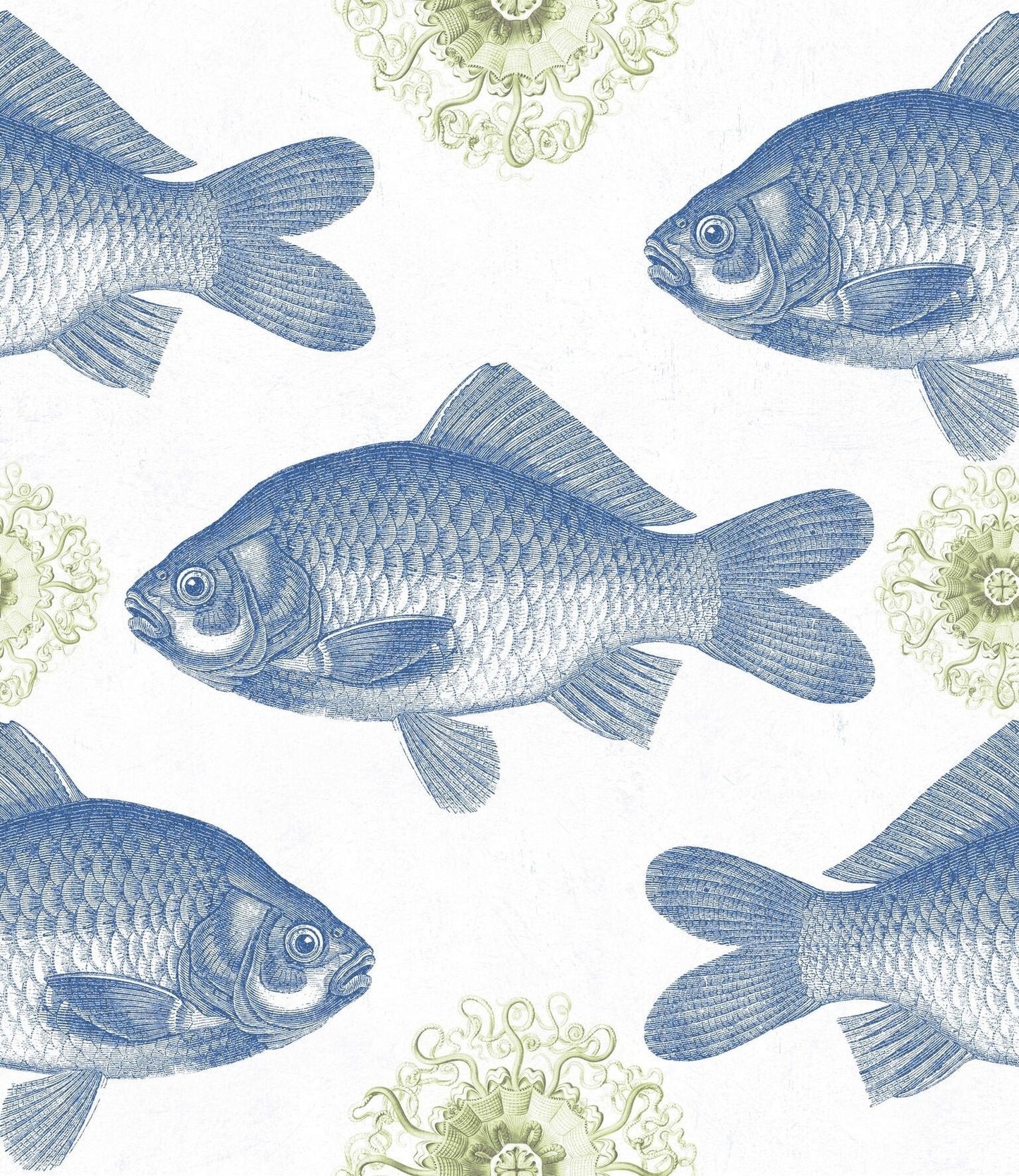 Fish Blue Wallpaper-Contract Furniture Store for hospitality, leisure & commercial projects