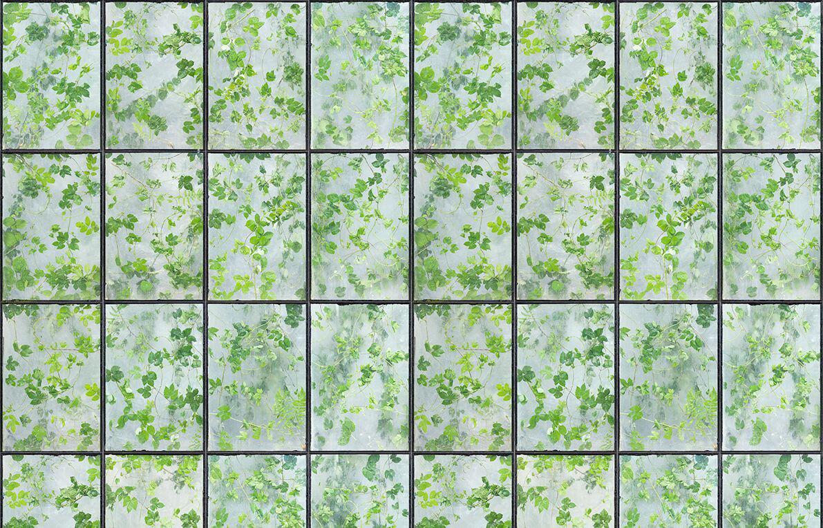 Greenhouse Wallpaper