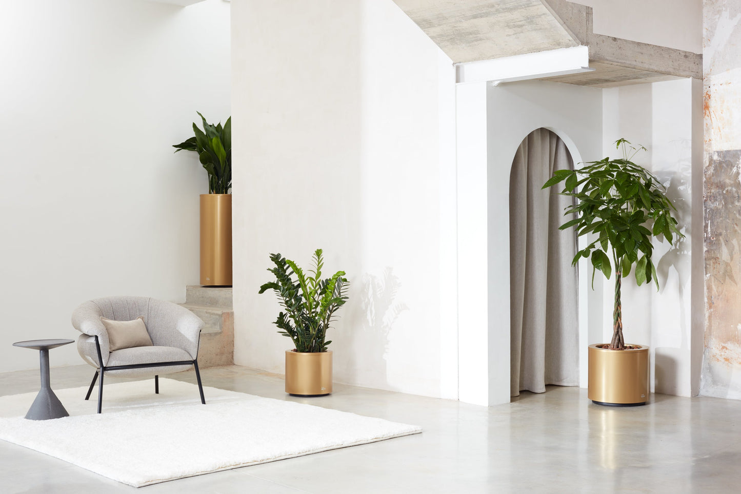 Kava Hydroplanter