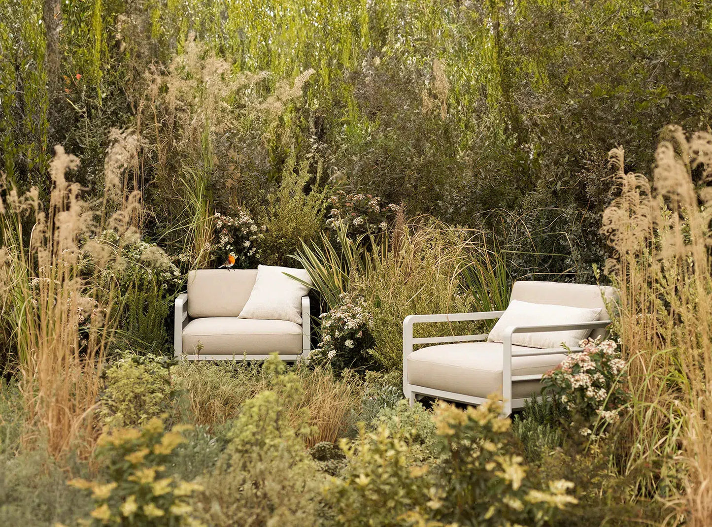 Maximo Lounge Chair-Contract Furniture Store for hospitality, leisure & commercial projects