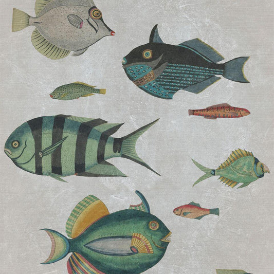 Poissons Grey Wallpaper