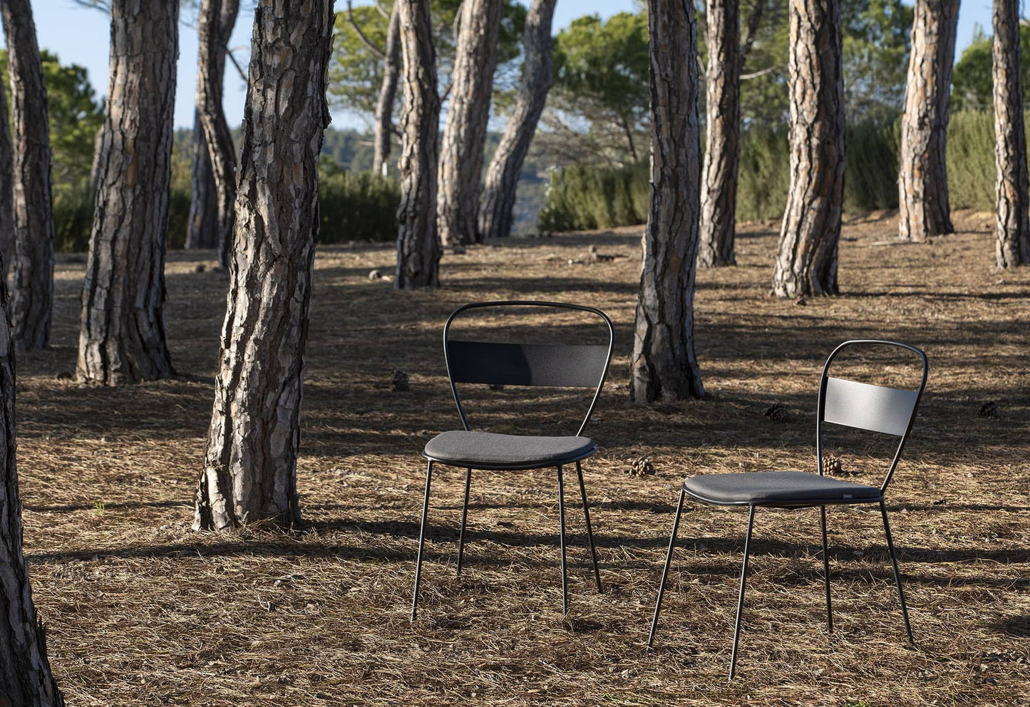 Sedna Side Chair-Contract Furniture Store for hospitality, leisure & commercial projects