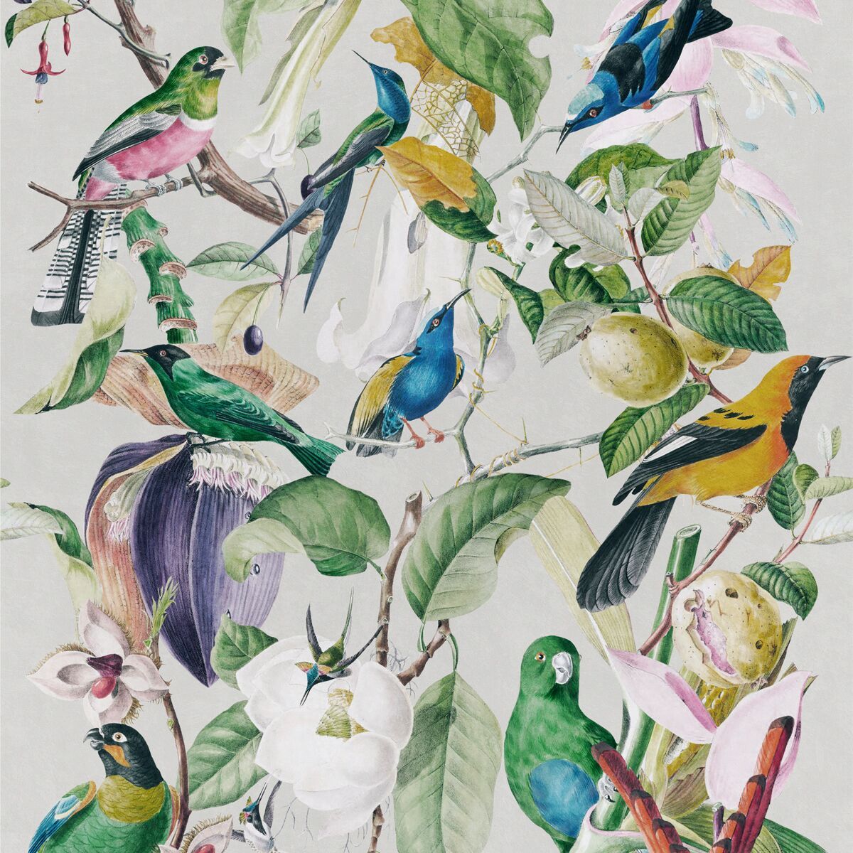 Tropical Birds Wallpaper-Contract Furniture Store for hospitality, leisure & commercial projects