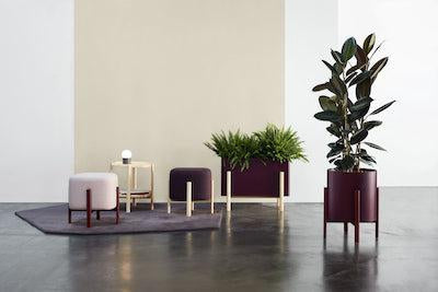 An Easier Way to Care for your Plants-Contract Furniture Store