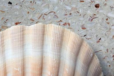 Marine Terrazzo from Recycled Seashells-Contract Furniture Store