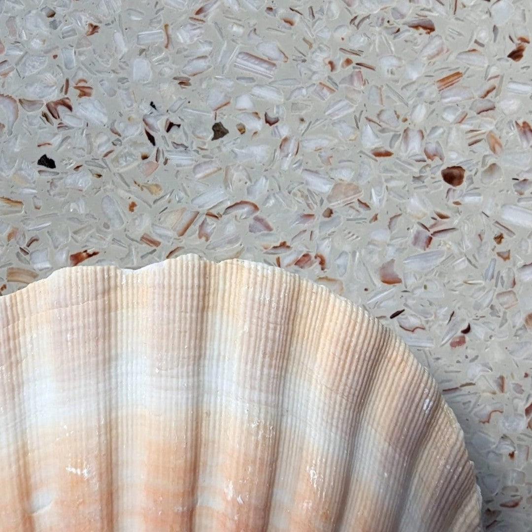 Environmental News-Marine Terrazzo from Recycled Seashells