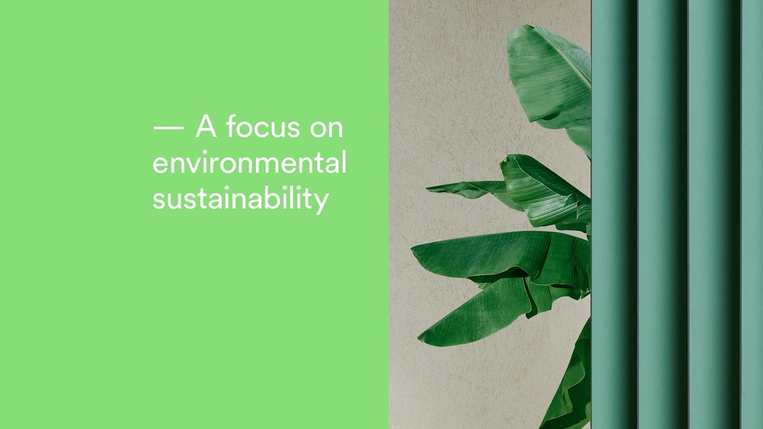 Environmental News-Think Green: A Pedrali Sustainable Revolution