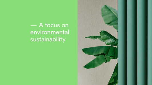 Environmental News-Think Green: A Pedrali Sustainable Revolution