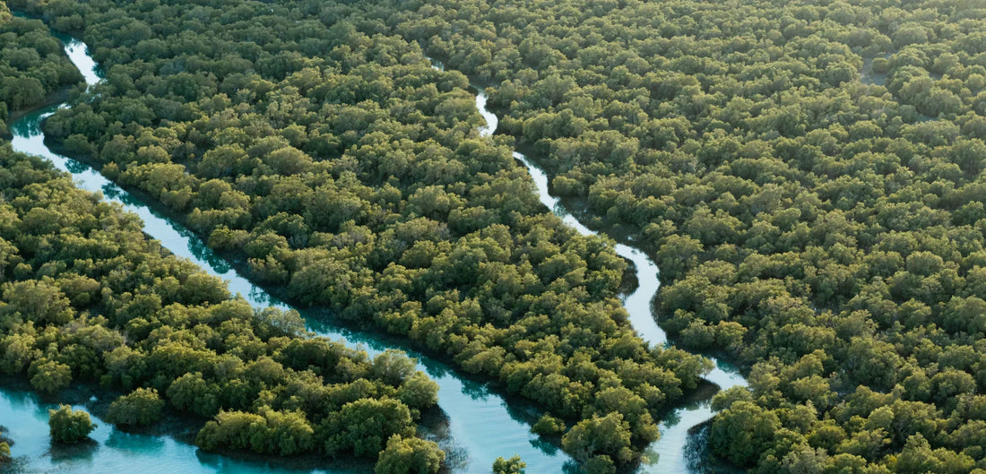 Gaber responsible furniture design