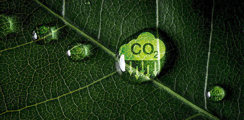 Environmental News-Varaschin Sustainability in LEAF