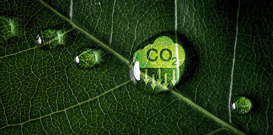 Environmental News-Varaschin Sustainability in LEAF