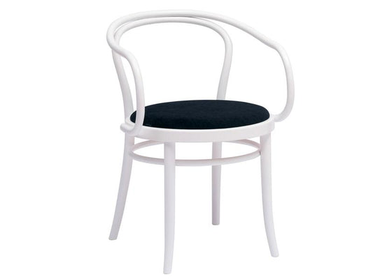 30 Upholstered Armchair