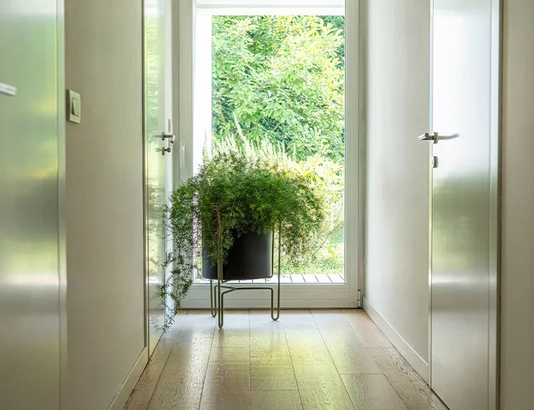 Meridius Planter
