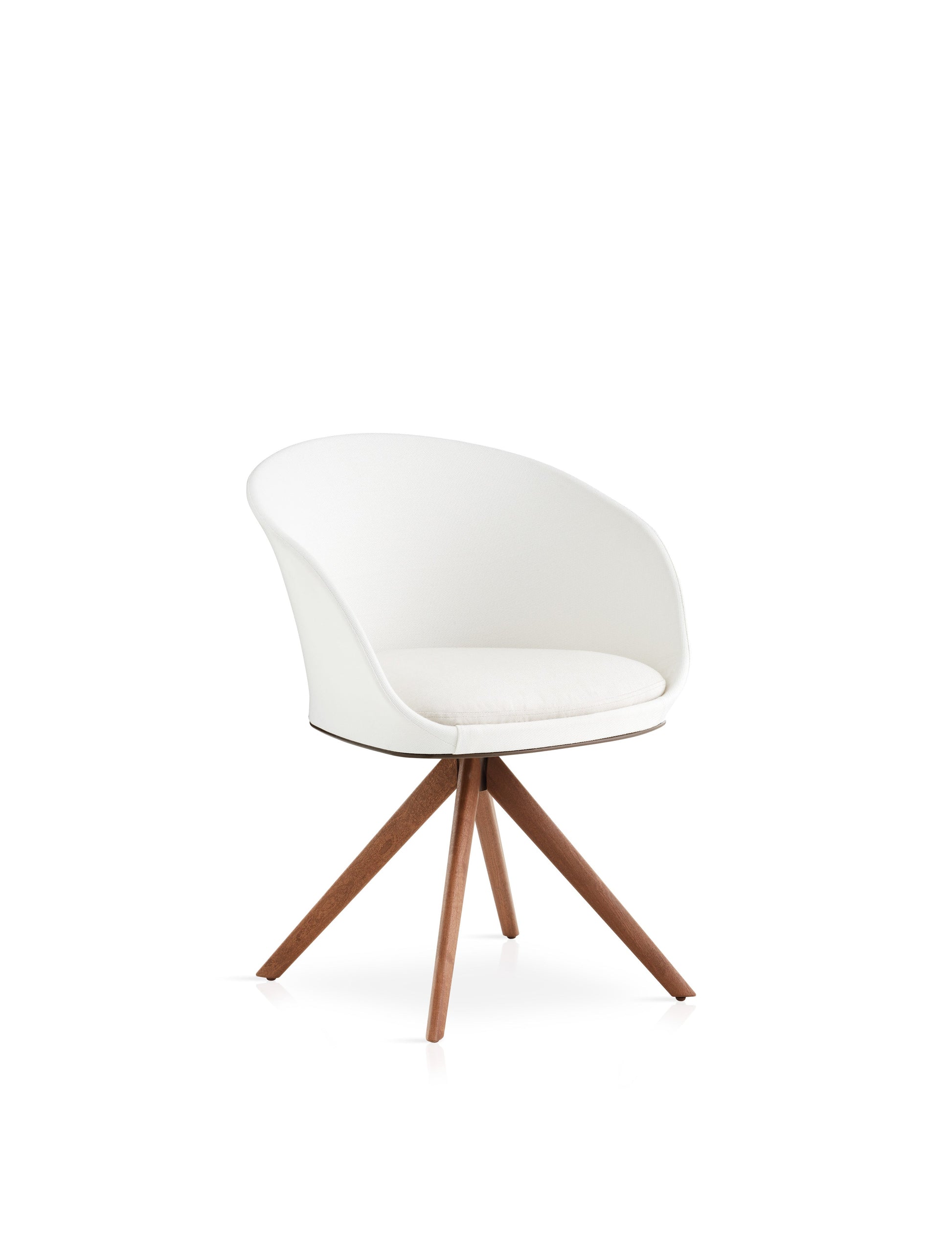 Blum C166P Dining Armchair-Contract Furniture Store for hospitality, leisure & commercial projects