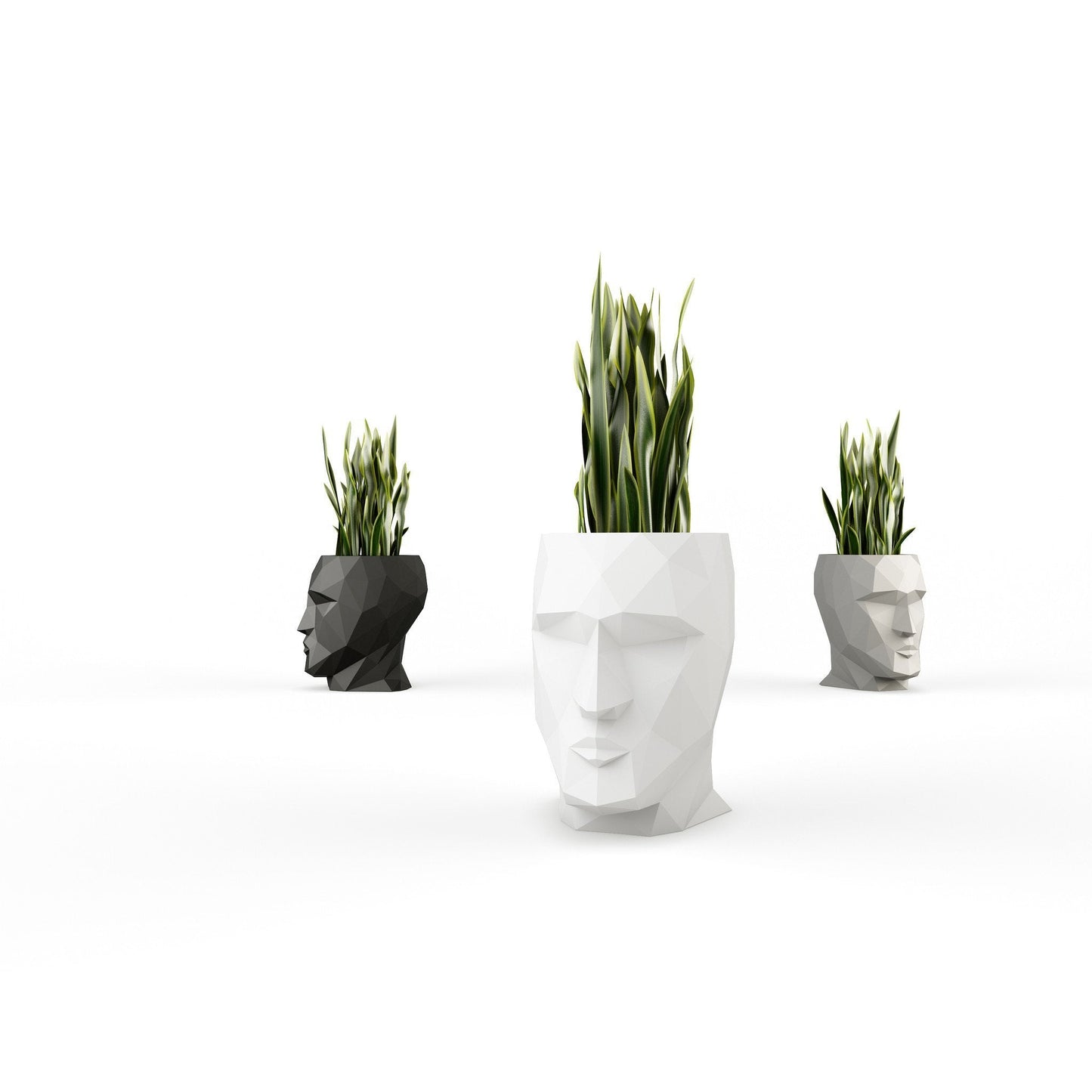 Adan Planters