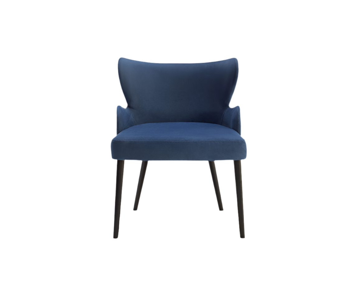 Adele Lounge Chair-Contract Furniture Store for hospitality, leisure & commercial projects
