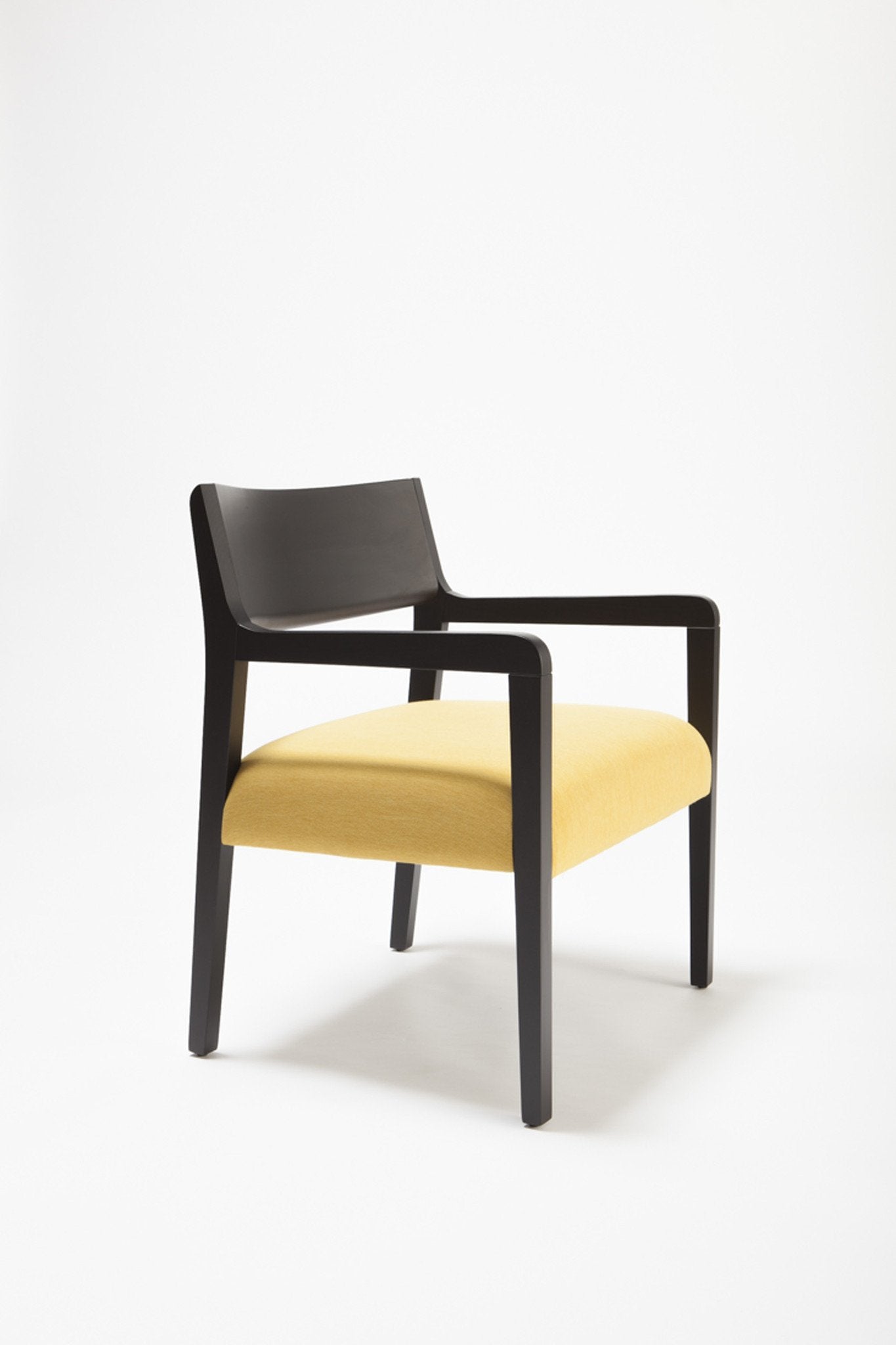 Amarcord Lounge Armchair