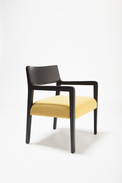 Amarcord Lounge Armchair