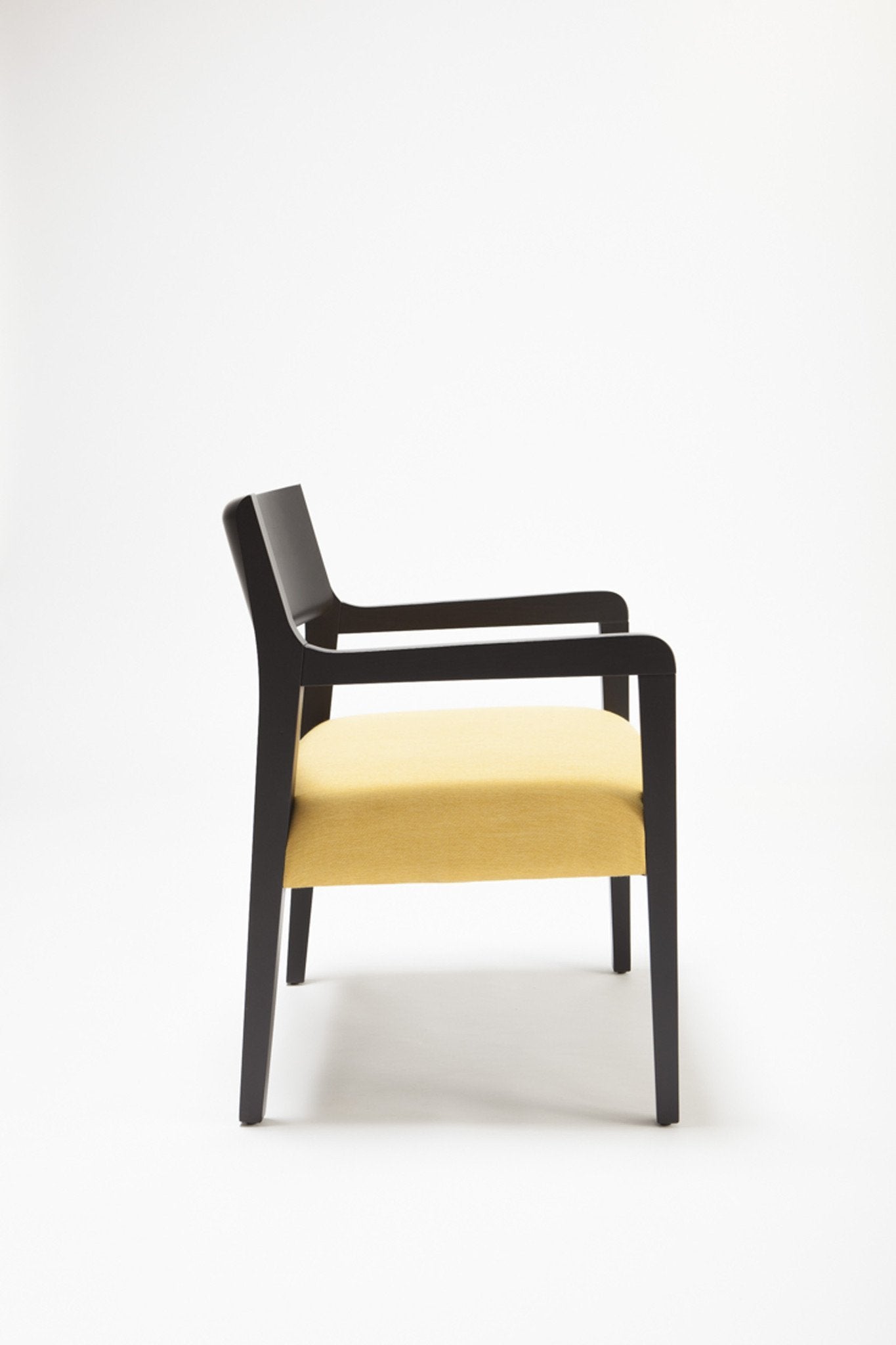 Amarcord Lounge Armchair
