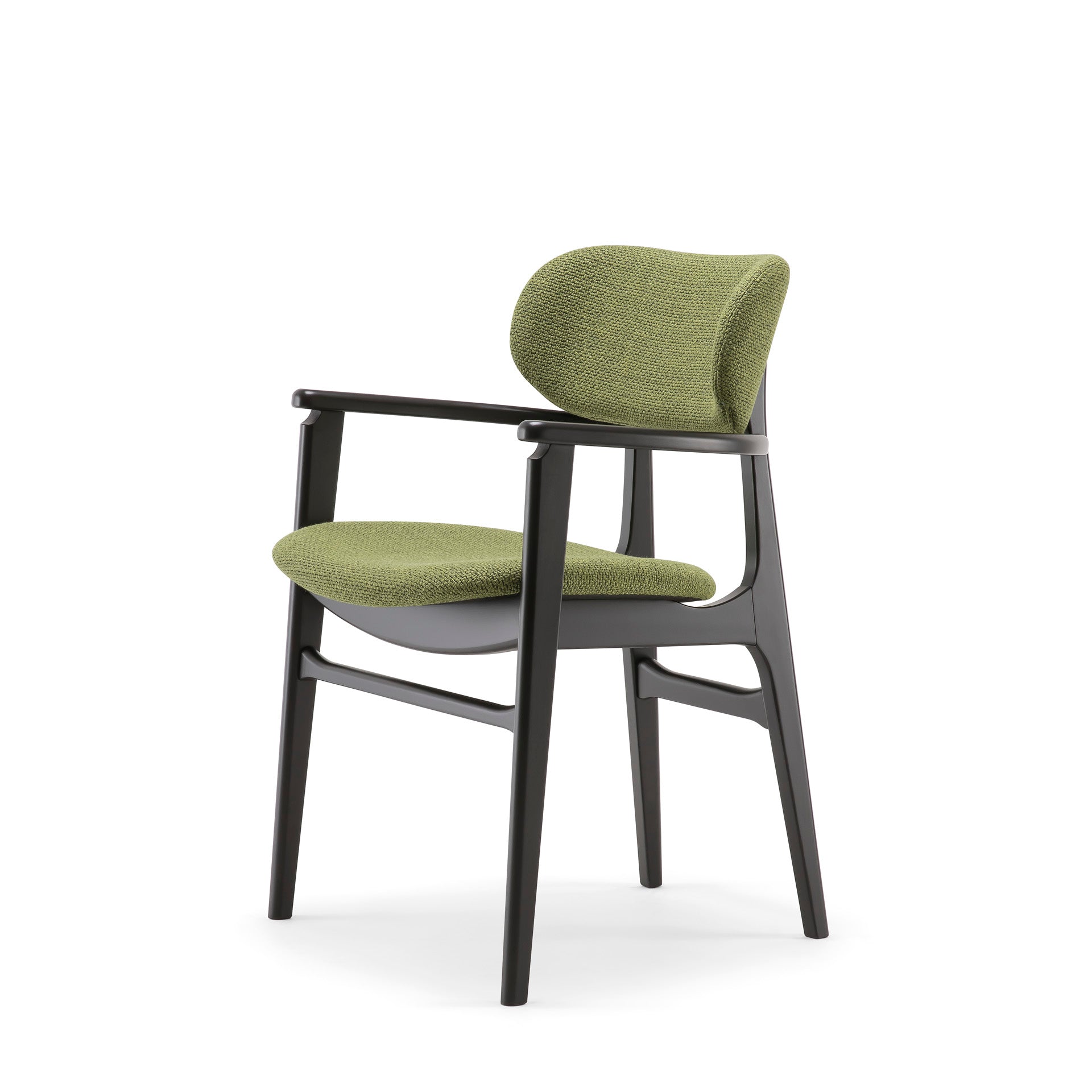 Annalisa 00 A2 Armchair-Contract Furniture Store for hospitality, leisure & commercial projects