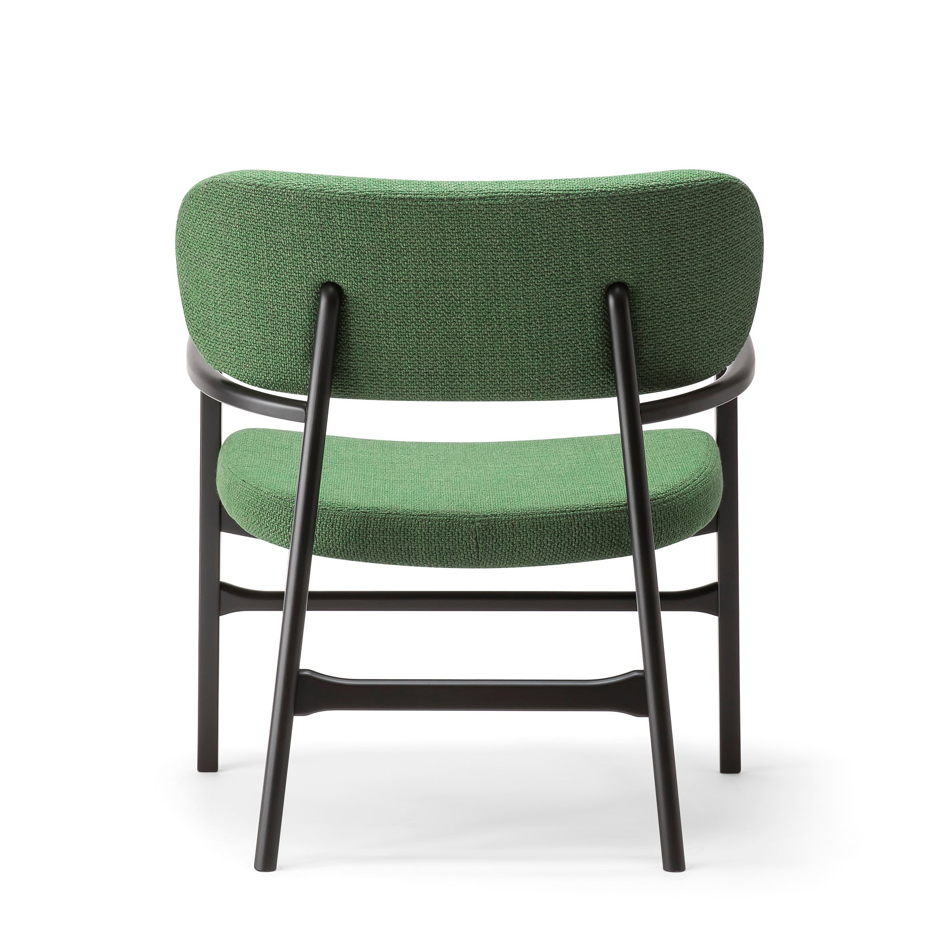 Annalisa 00 L2 Lounge Chair-Contract Furniture Store for hospitality, leisure & commercial projects