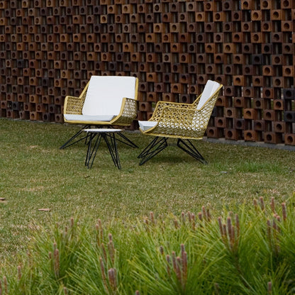 Anti-C 106 Lounge Chair
