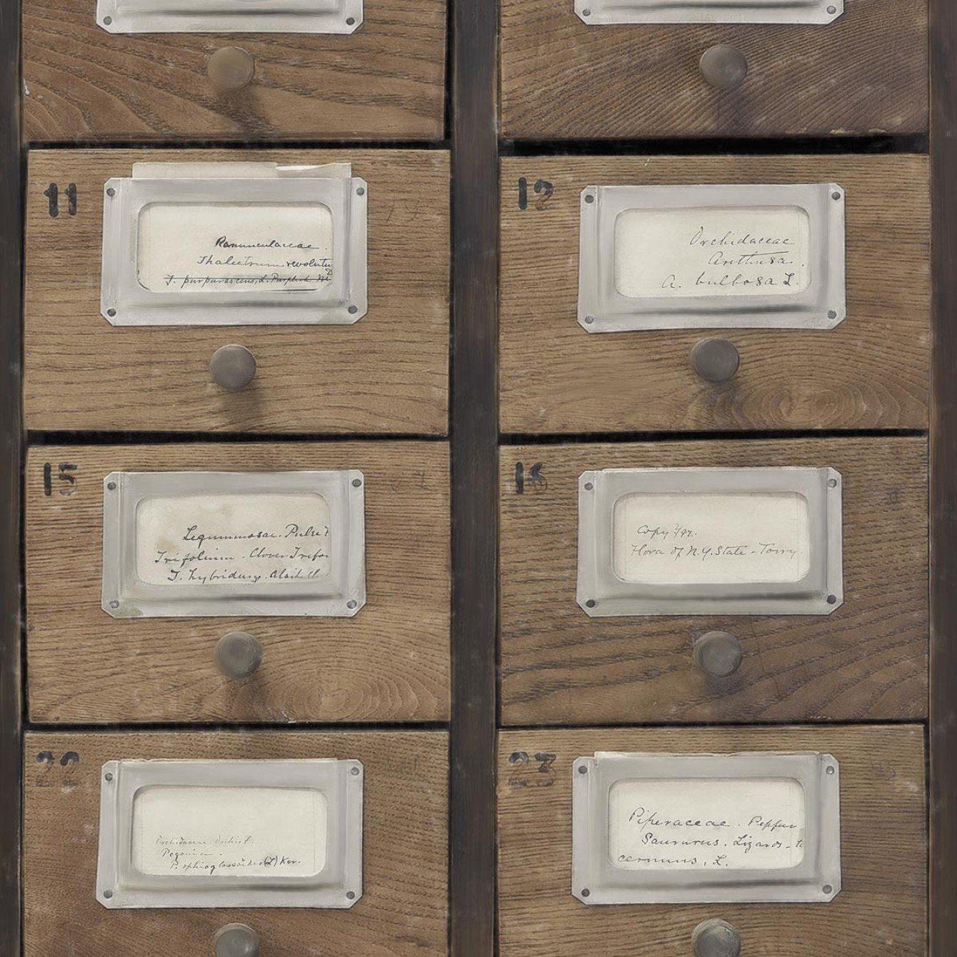 Apothecary Neutral Wallpaper