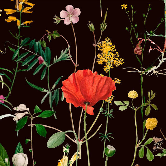 Aquafleur Anthracite Wallpaper