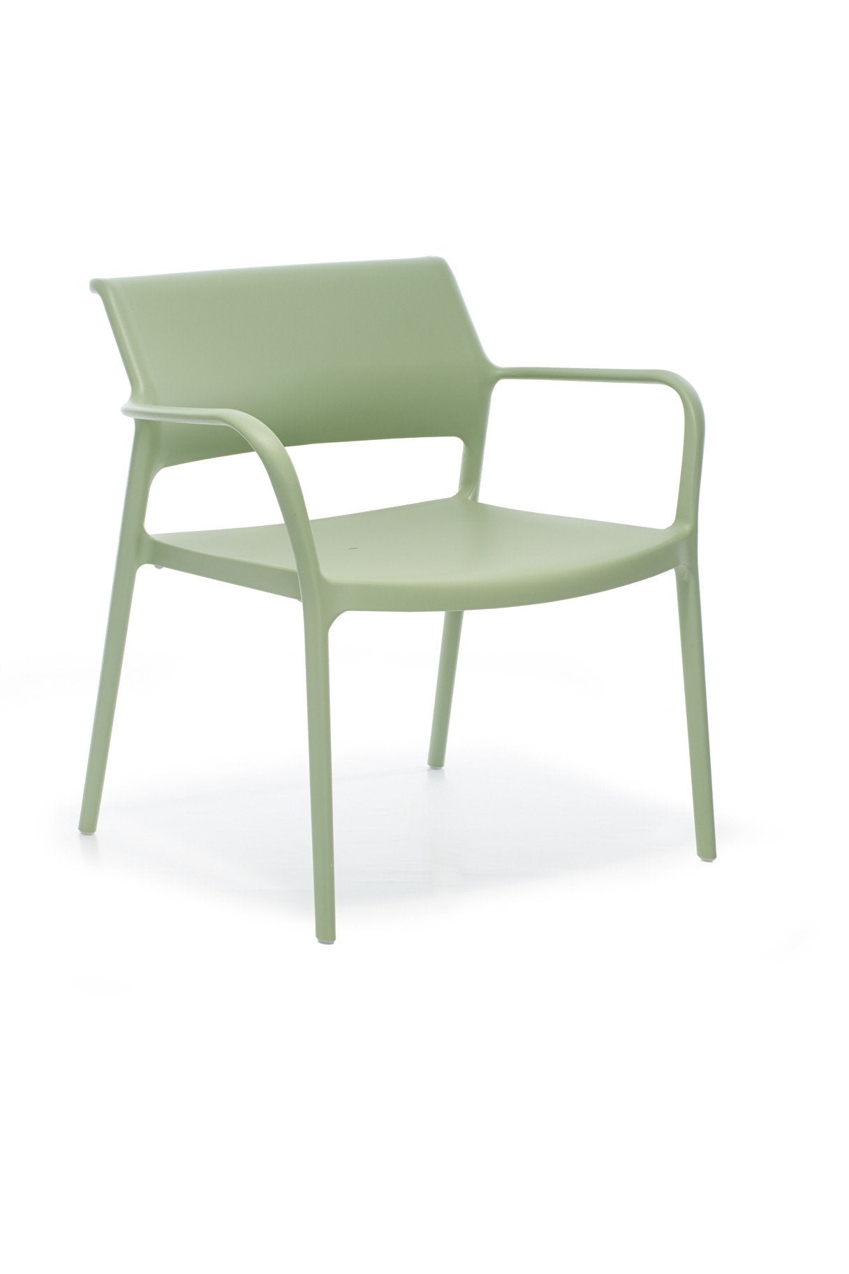 Ara 316 Lounge Chair