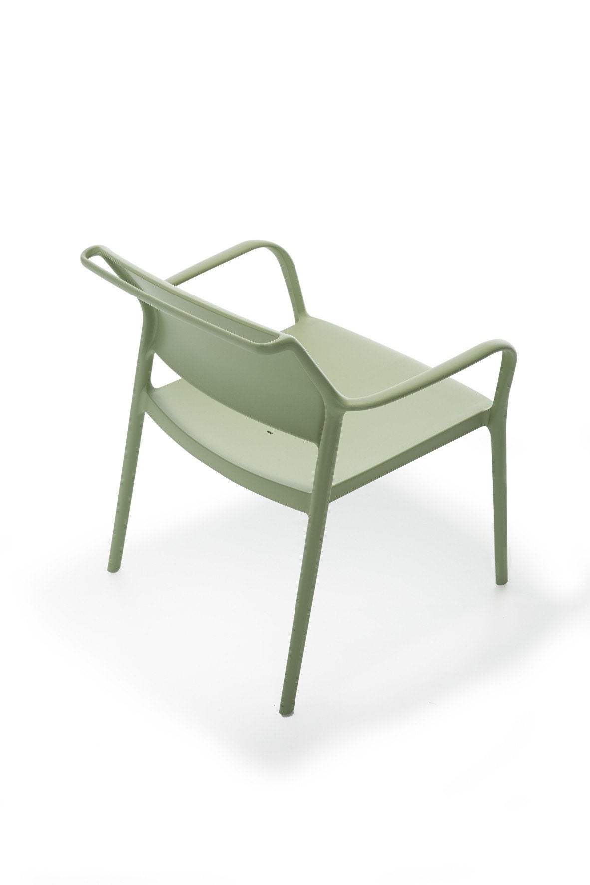 Ara 316 Lounge Chair