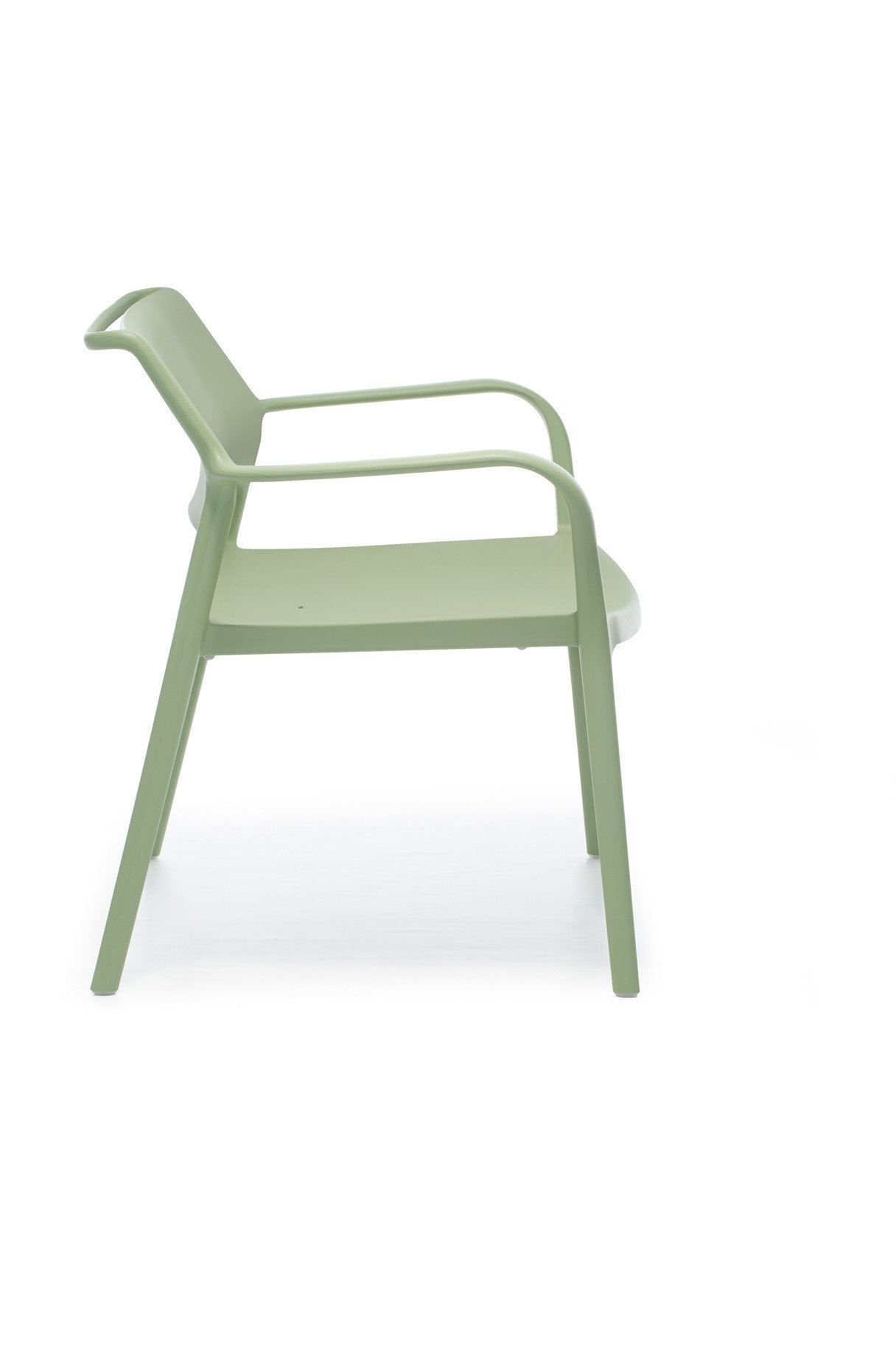 Ara 316 Lounge Chair