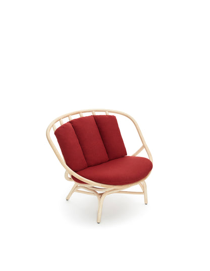 Armadillo Lounge Chair-Contract Furniture Store for hospitality, leisure & commercial projects