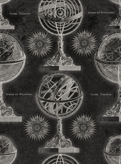 Armillary Anthracite Wallpaper