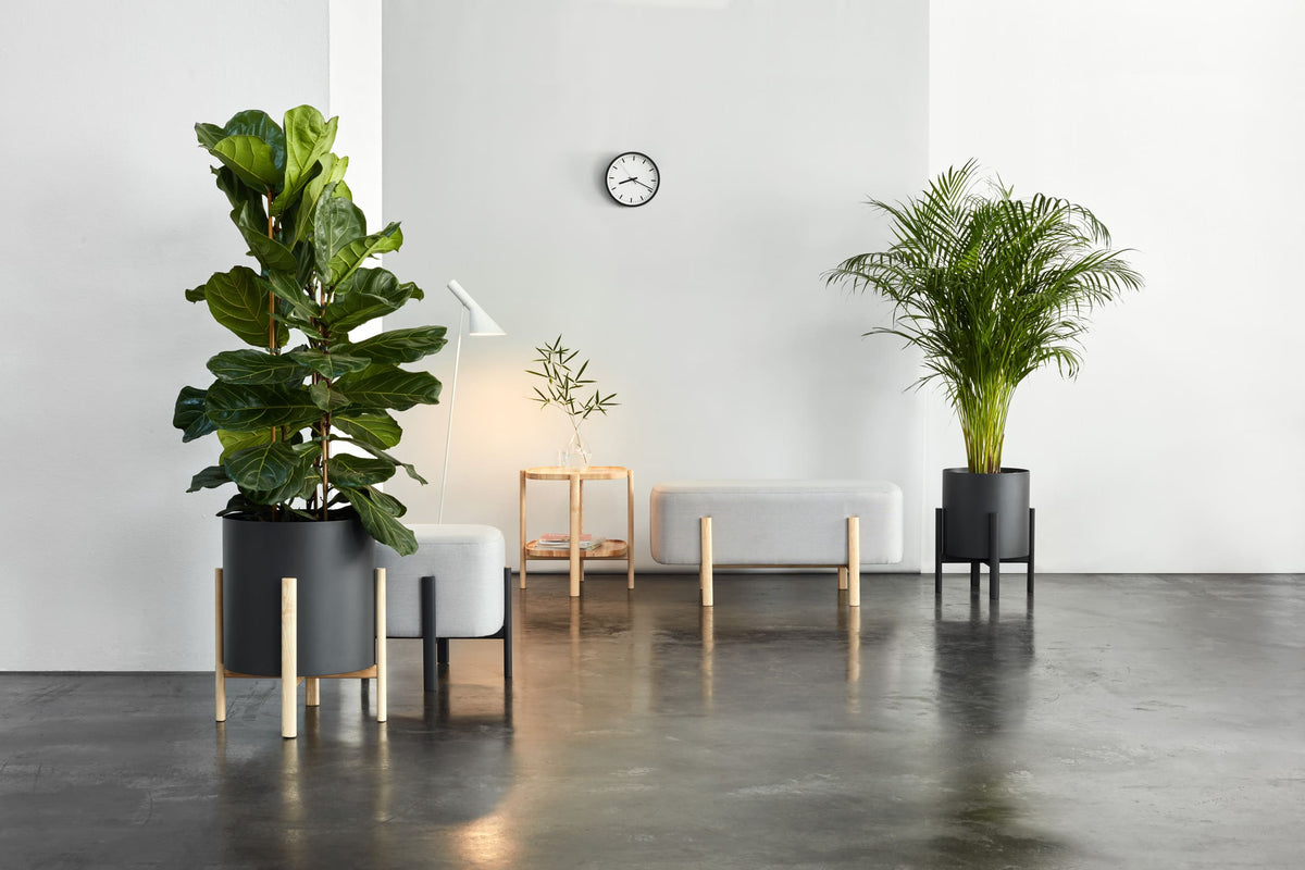 Ashi Hydroplanter-Hobby Flower-Contract Furniture Store
