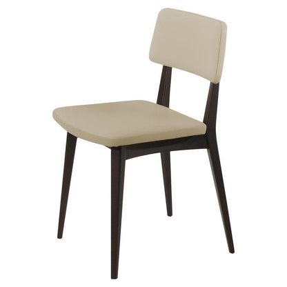 Asuncion 2 Side Chair