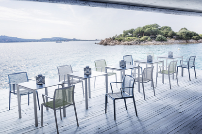 Avenica Armchair