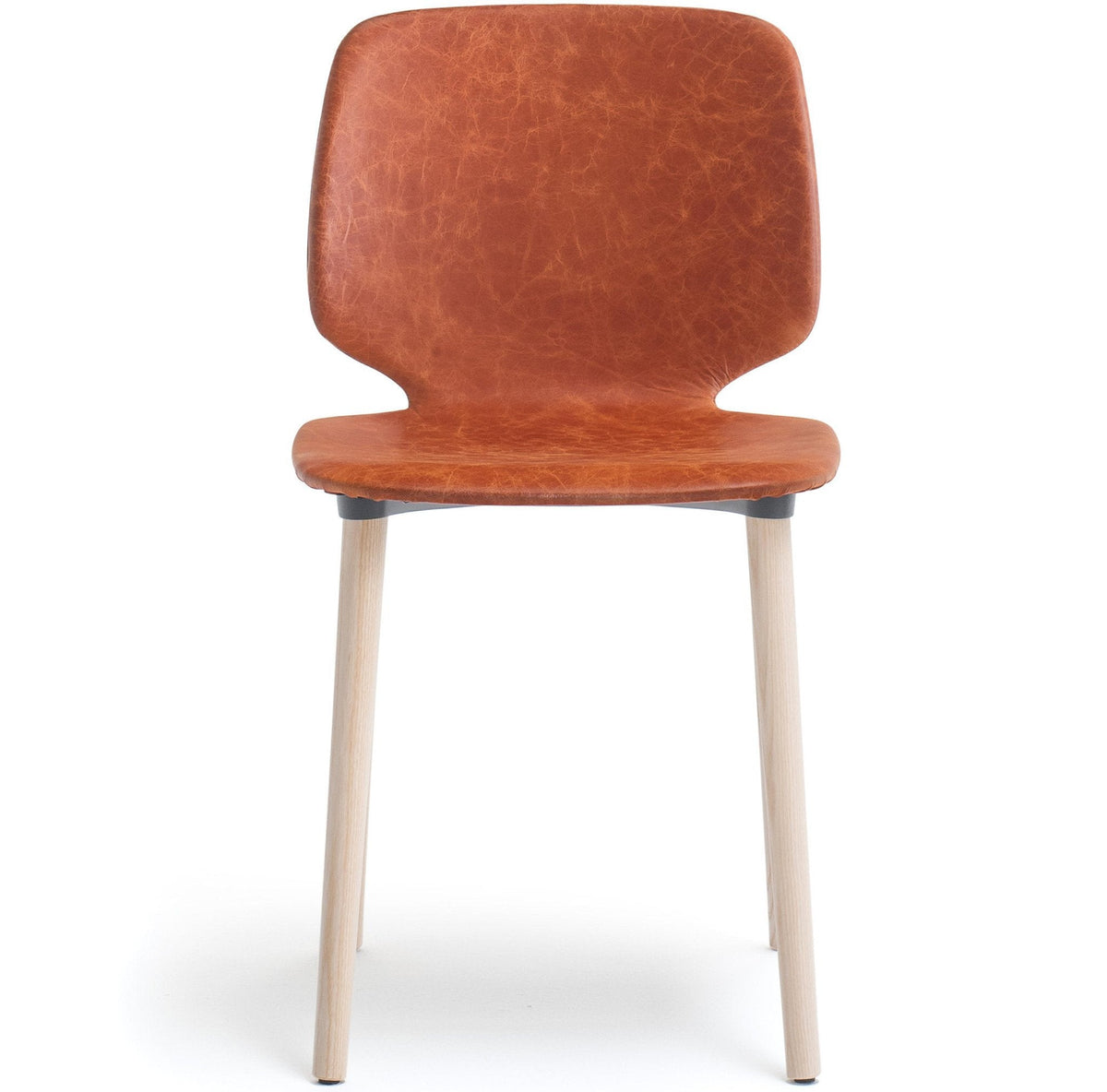 Babila Soft Side Chair-Pedrali-Contract Furniture Store