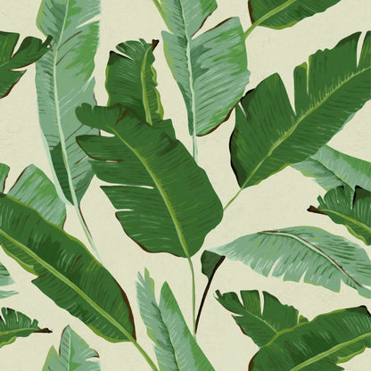 Banana Leaves Wallpaper