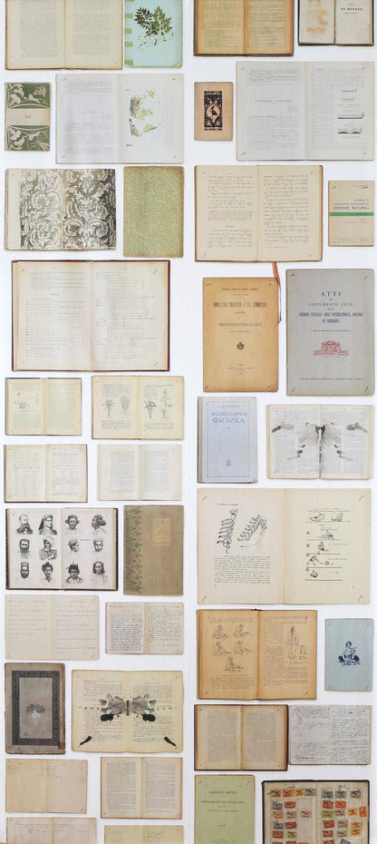 Biblioteca Cream Books Wallpaper-Contract Furniture Store for hospitality, leisure & commercial projects